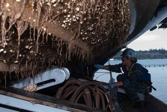 5 Warning Signs Your Boat Needs Immediate Hull Cleaning