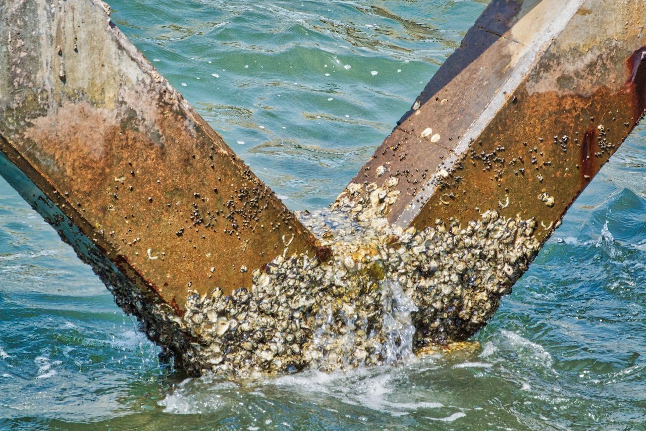 professional dock piling cleaning cost
