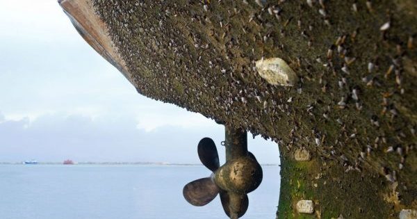 Hull Fouling