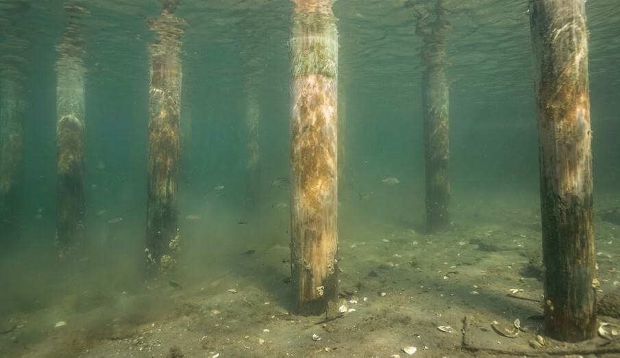 clean dock pilings every year